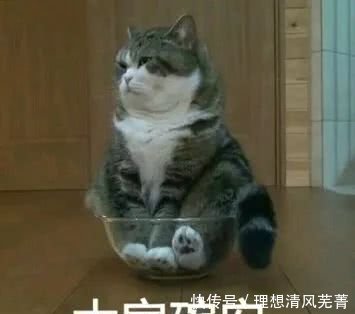 你表情太多,发火和你聊了表情包不想动漫图片