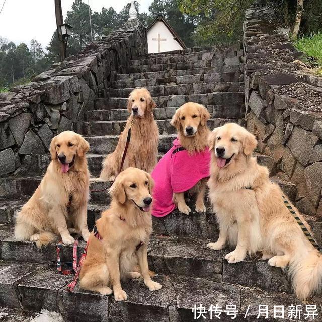 疗养院是干什么的