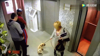 t015398fb83e8b1777b.gif?size=400x226