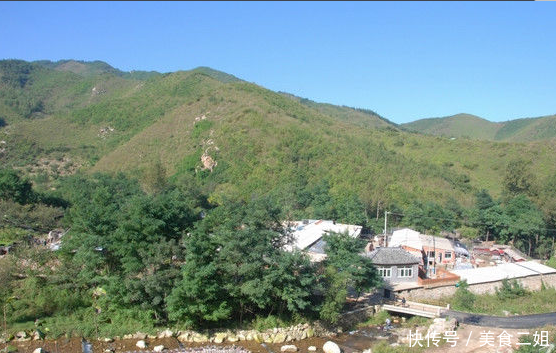 中国唯一一群不接受钱财的尼姑,一天只吃一餐,远离尘世