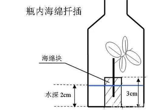 如何简单制作成型水 t0155e1eab044dc80f0.jpg