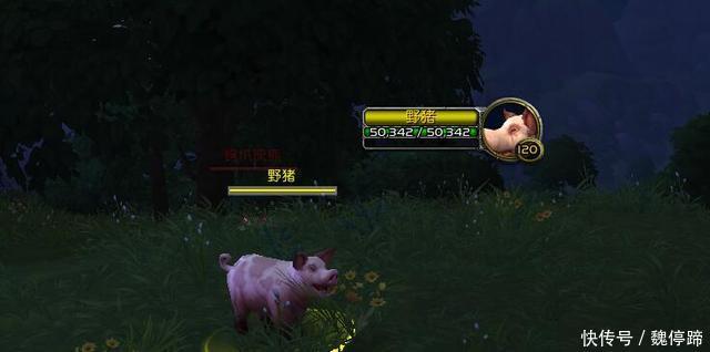 魔兽世界:家猪跑到外面就成了野猪 怪物命名也