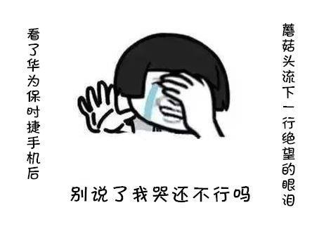 蘑菇头城堡:买不起华为保时捷手机的蘑菇头图表情搞笑破坏者图片