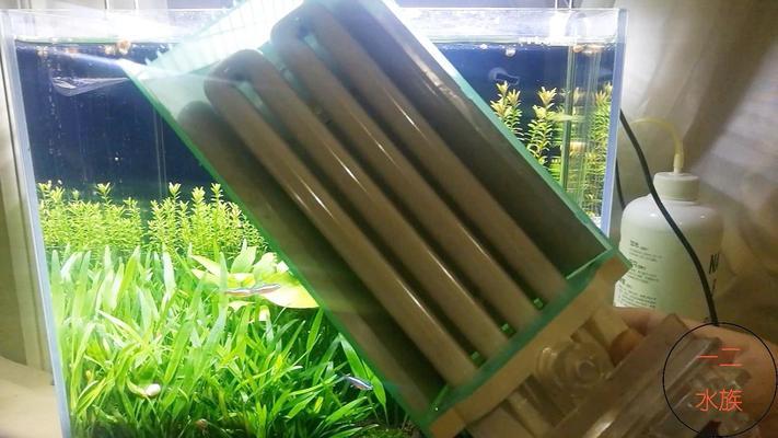 <strong><mark>arowana</mark></strong> in Margibi : The Majestic <strong><mark>arowana</mark></strong>: A Guide to Finding and Caring for These Exotic Fish in Margibi, Liberia