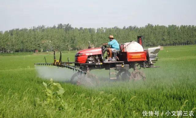 在乡村田间,竟然看到这个大怪物,相信很多人都是第一次见!!