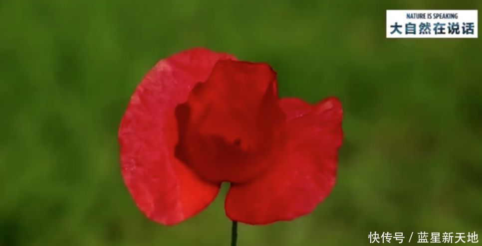 t0158a742152ef972b0.jpg?size=966x494