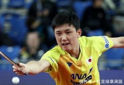 张本智和软弱的一面:2次输黑马!日本乒协:他的