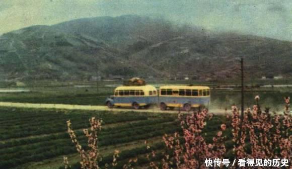 老照片: 60年代的浙江舟山群岛 带鱼可真多