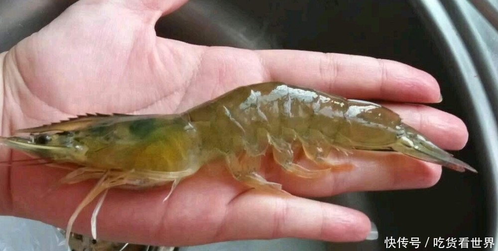 清洗活虾时,做好最后一步,大虾干干净净,虾黄更好吃