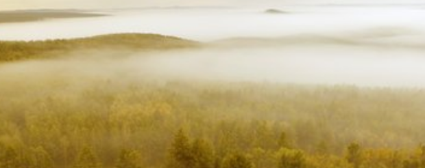 考研调剂时我们可以报几个学校