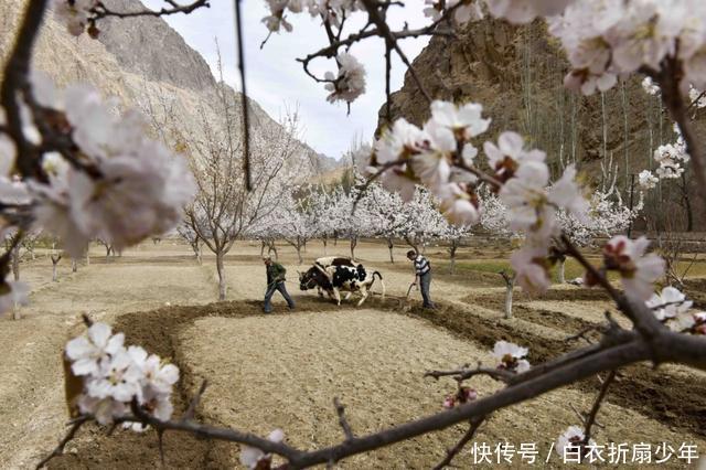 中国颜值最高的民族,美女如云,却非本族人不嫁