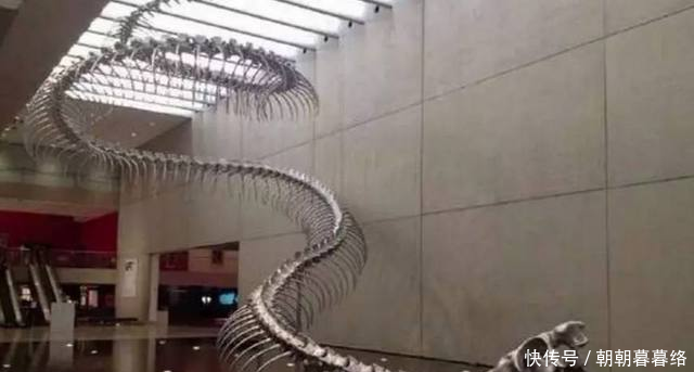 t015dcbe93166916dfd.bmp?size=640x343