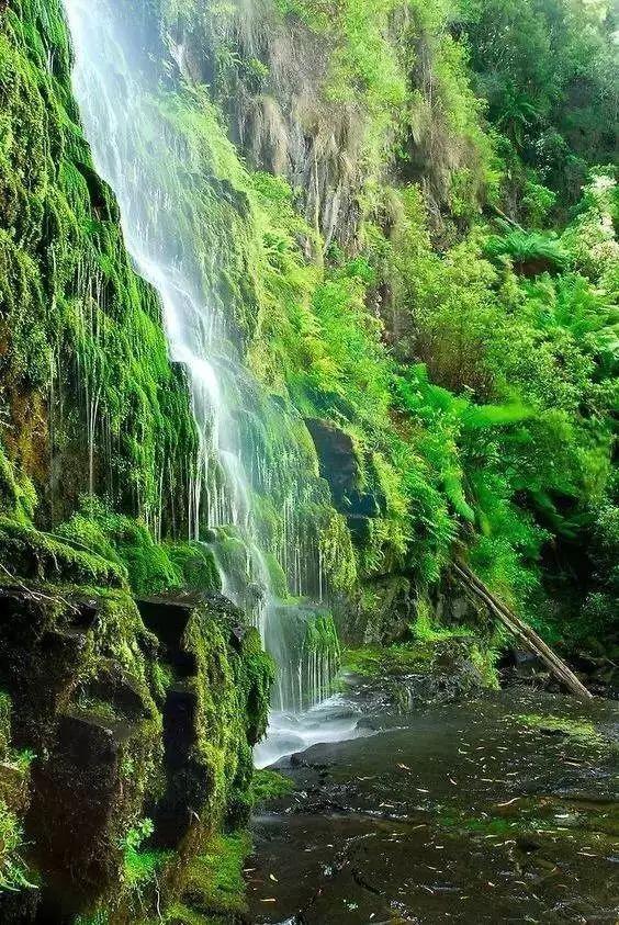 江一燕流连忘返的圣地,探险家的乐园,这个国度终于落地签啦!