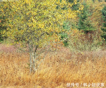 小伙在郊外发现一个奇怪瓶子，带回家打开后，立刻向女友求婚