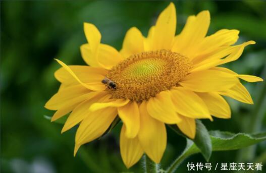 恭喜4生肖，5月12号起财运爆棚，横财如大雨降临，狗年要发达！