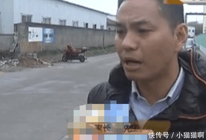 幼儿园学籍查询