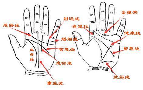 秒懂面相:观手知人术