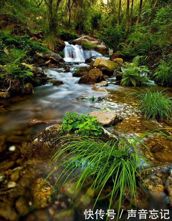 20条微信励志说说心情短语,句句阳光正能量!