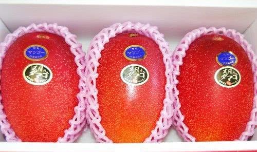 几种来自日本非常昂贵的水果, 一颗葡萄就卖到