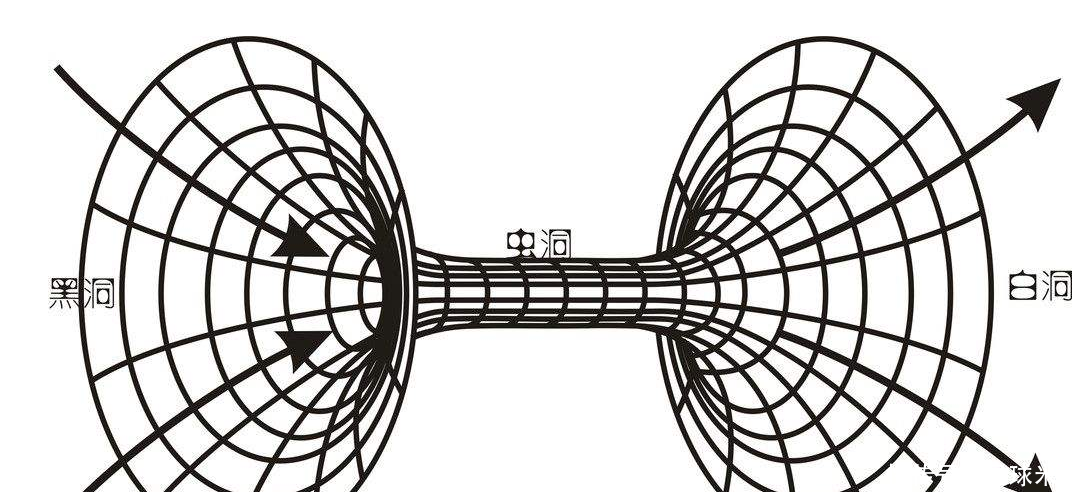 t0161d223a557bef6de.png