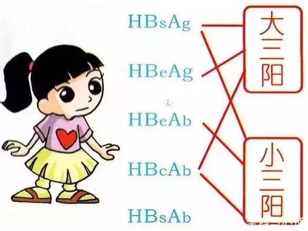 大三阳PK小三阳,谁更厉害?