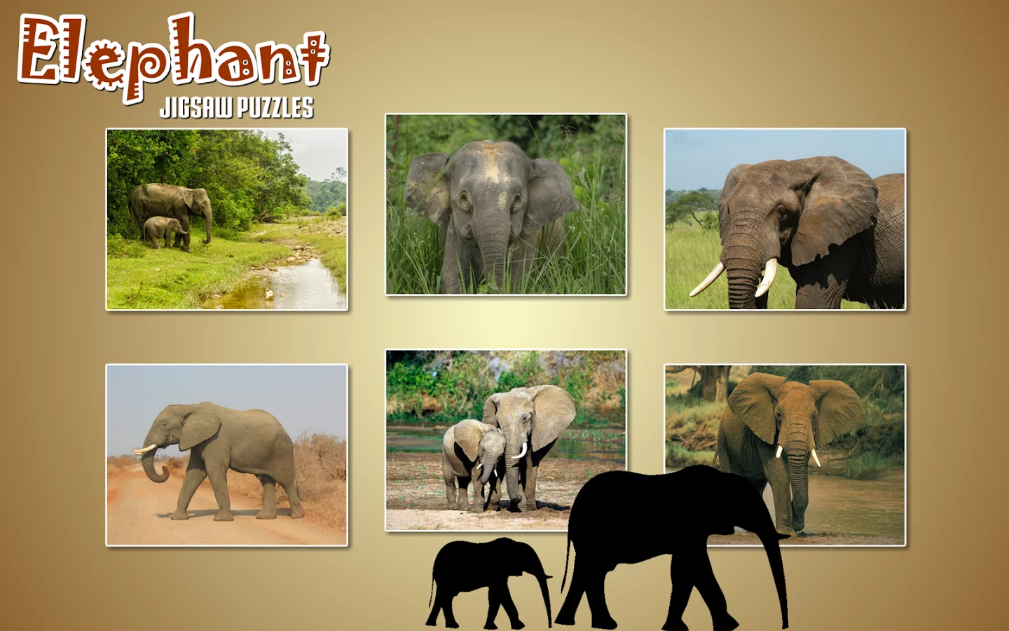 Elephant Jigsaw Puzzle截图5