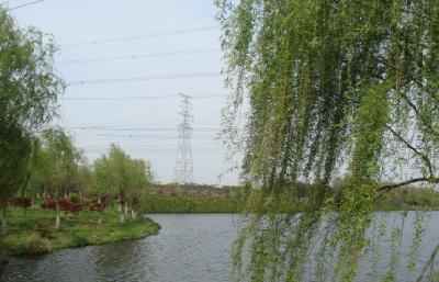 春兴