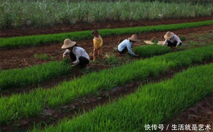 女儿满月婆婆给八百,无意看到老公的微信,我含泪全部退回