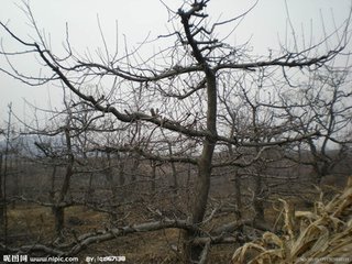 t0163fa8b502c983490.jpg