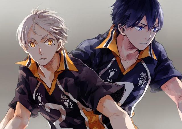 豆瓣动漫类最高分!这部运动番凭什么评分如此