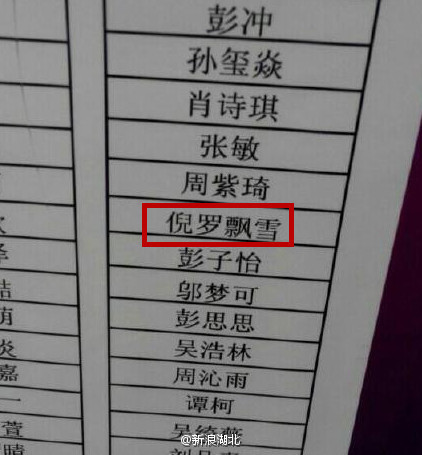 长沙1040老总姓名_沁园春长沙