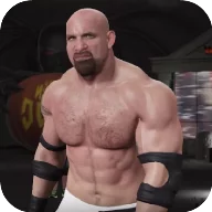 Wrestling WWE Fight(WWE摔跤格斗)