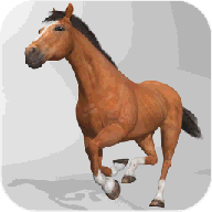 Horse Simulator 3D