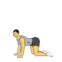 怎样运动能减大肚跟肚子.