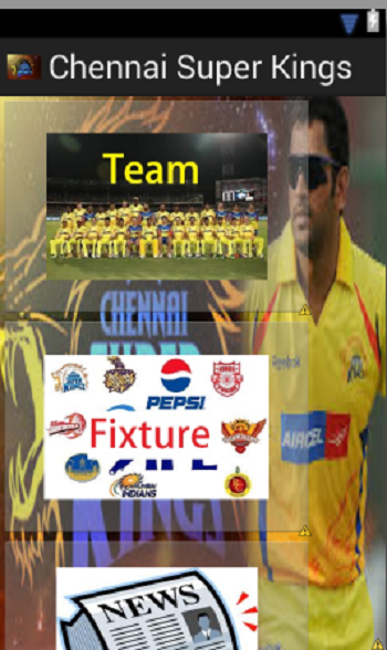 Chennai Super Kings 2014截图3