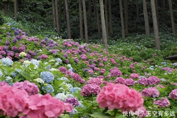 12星座注定无缘的爱情组合