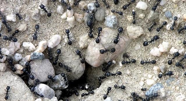 6种方法解释出为何外星人从未造访过地球?