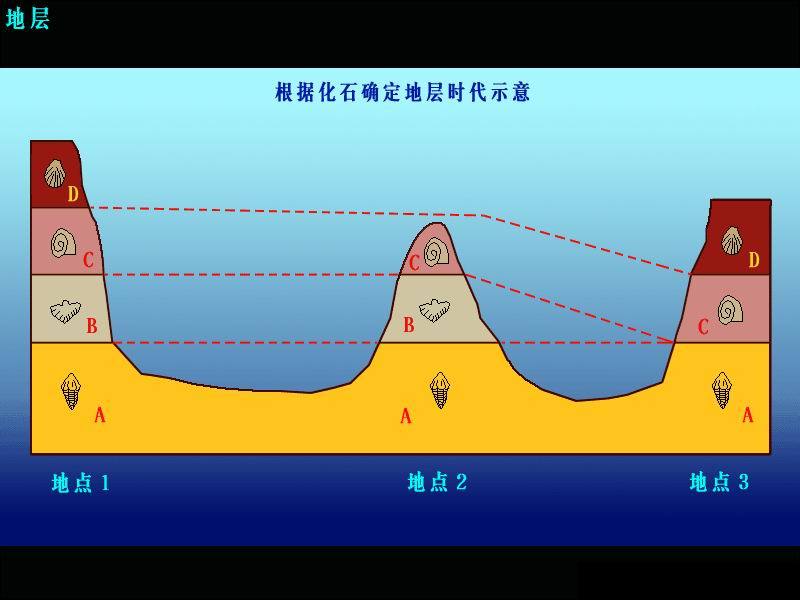 化石层序律示意图