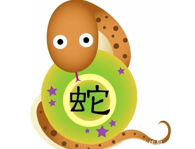 看起来老实,实际上是最聪明,心眼最多的三生肖