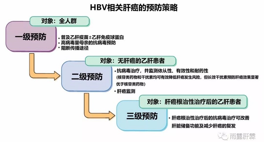 Aliment Pharmacol Ther:乙肝相关肝癌的预防策略