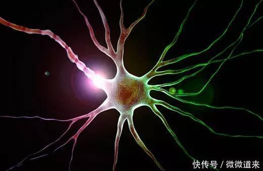 科学界最尖端的125个谜团, 诺贝尔奖在等待它们