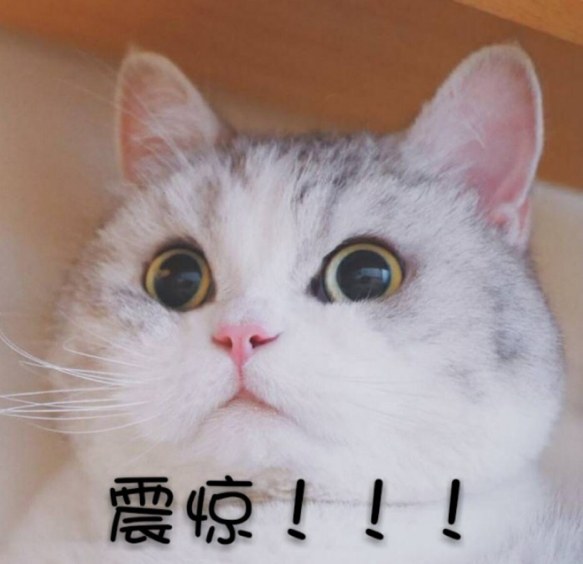百万艺人争当海王,起源竟是绝对演绎剧组戏服?