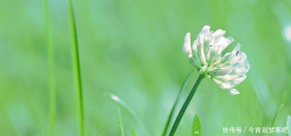 非常经典的句子,看人长处、帮人难处、记人好