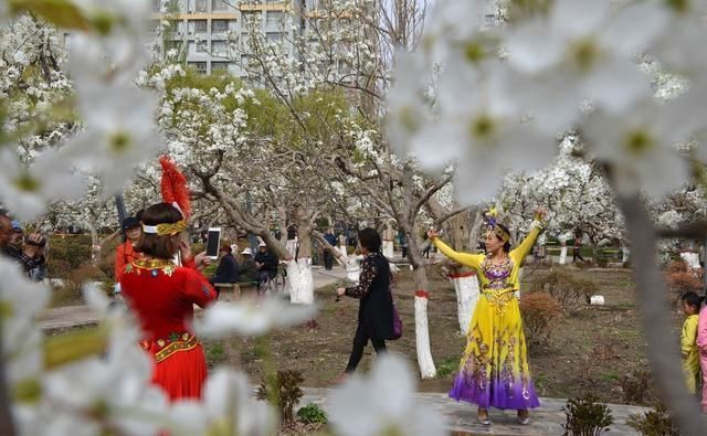 南疆香梨树开花始期及花期气象条件预报