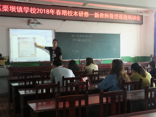 纳溪区渠坝镇学校2018年春期校本研修 新教师