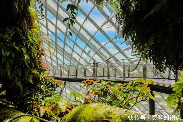 这是什么节奏?新加坡竟然花了10亿打造“原始森林”