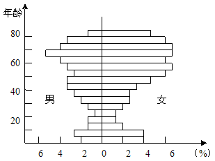 人口金字塔 六普_...第五次和第六次人口普查人口金字塔图 .回答1 2 题. 1.关于