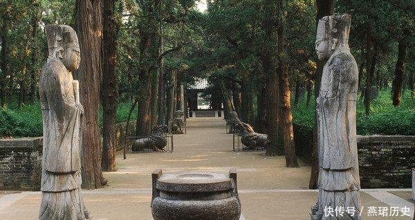 为何山东曲阜孔林上不落乌鸦,下不招蛇说出来