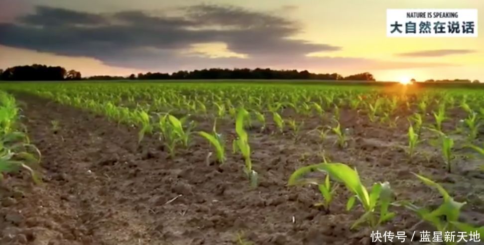 t0171f952860d5f027a.jpg?size=972x492