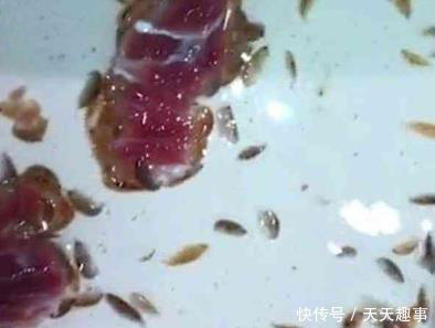 男孩在沙滩泡脚半小时,双脚被吃出几百个洞,爸